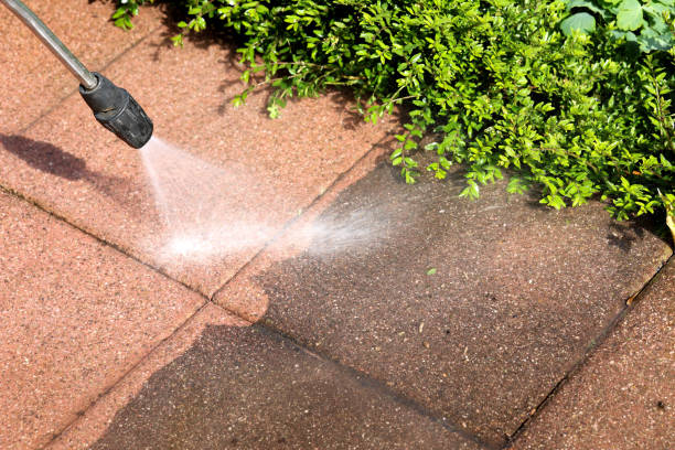 Best Power Washing Near Me  in Wabasso, FL